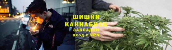 стаф Осташков