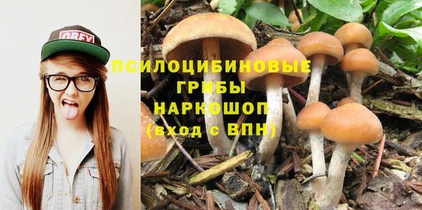 альфа пвп Дмитриев