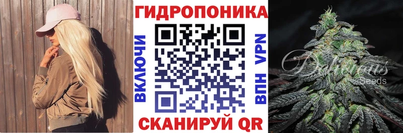 МЕГА онион Пенза Каннабис индика